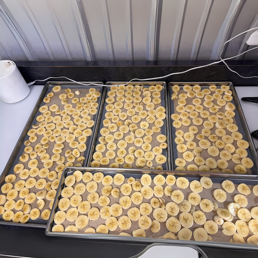 Freeze Dried Bananas